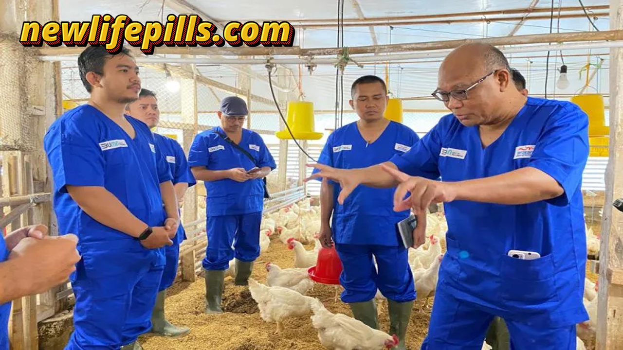 PT Berdikari komitmen dukung ketahanan pangan hingga MBG