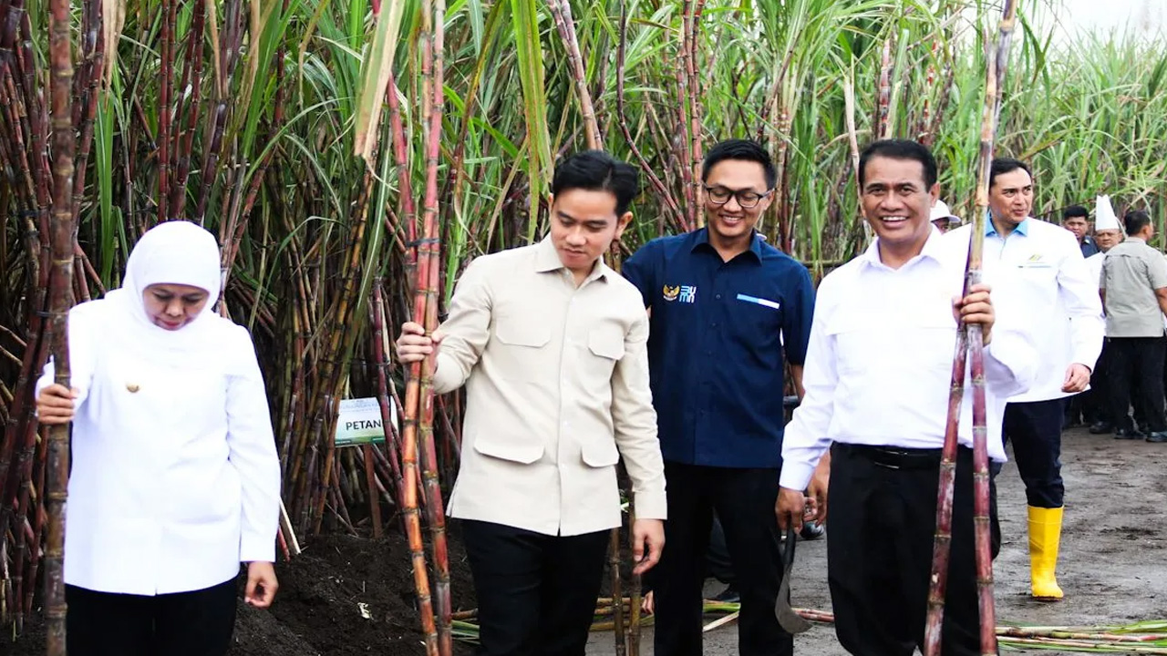 Mentan pastikan benahi hulu-hilir demi capai swasembada gula