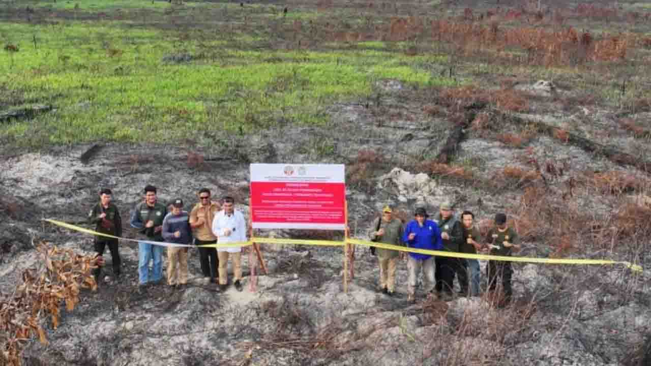 Kemenhut segel dua konsesi terkait kebakaran hutan dekat perbatasan Malaysia