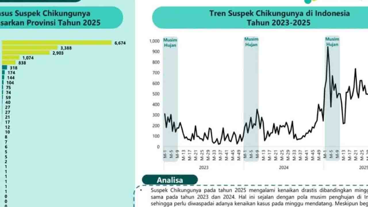 Kemenkes: Waspada kenaikan kasus chikungunya 2025, Jabar tertinggi